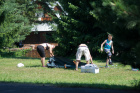 Trabant sraz Morava 2012 - foto