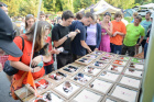 Trabant sraz Morava 2013 - foto